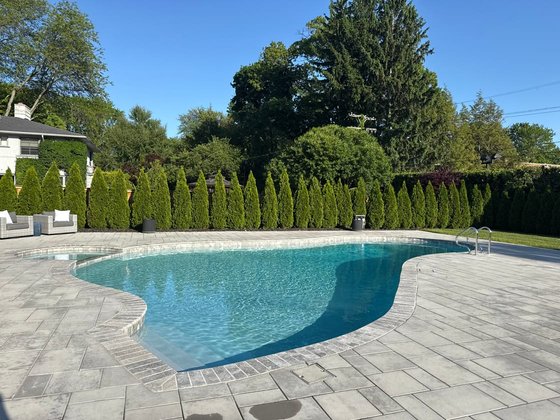 Emerald Green arborvitae installation in Oakland or Macomb County