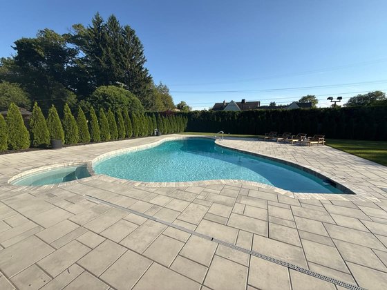 Emerald Green arborvitae installation in Oakland or Macomb County