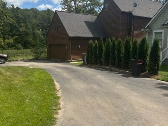 Emerald Green arborvitae installation in Oakland or Macomb County