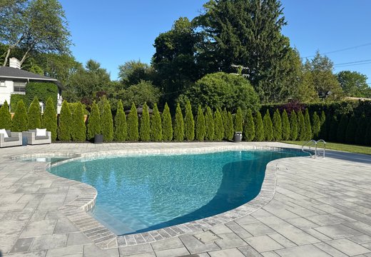 Arborvitae installation project in Oakland or Macomb County