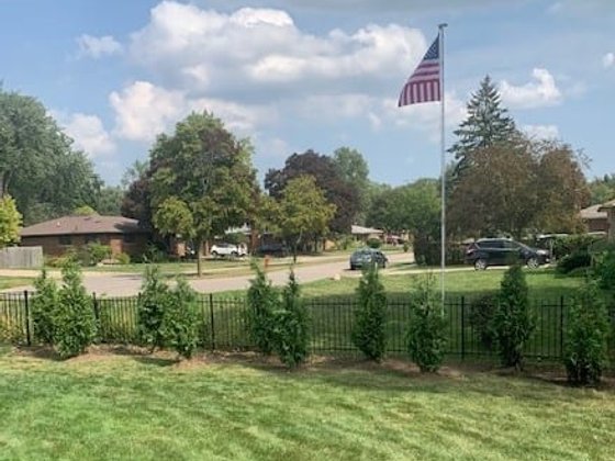 Green Giant arborvitae installation in Oakland or Macomb County